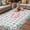 Gray, variant on Pink Flamingo Outdoor Rug for Patio/Deck/Porch, Non-Slip Large Area Rug 3 x 5 Ft, Green Summer Tropical Botanical Black Indoor Outdoor Rugs Washable Area Rugs, Reversible Camping Rug Carpet Runner