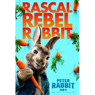 Peter Rabbit Decorations Posters Prints