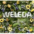thumbnail image 5 of Weleda Men's 24H Roll-On Deodorant, 1.7 Fluid Ounce, Plant Rich Odor Protection with Licorice Root and Witch Hazel, No Aluminum Salts(pack of 2 ), 5 of 5