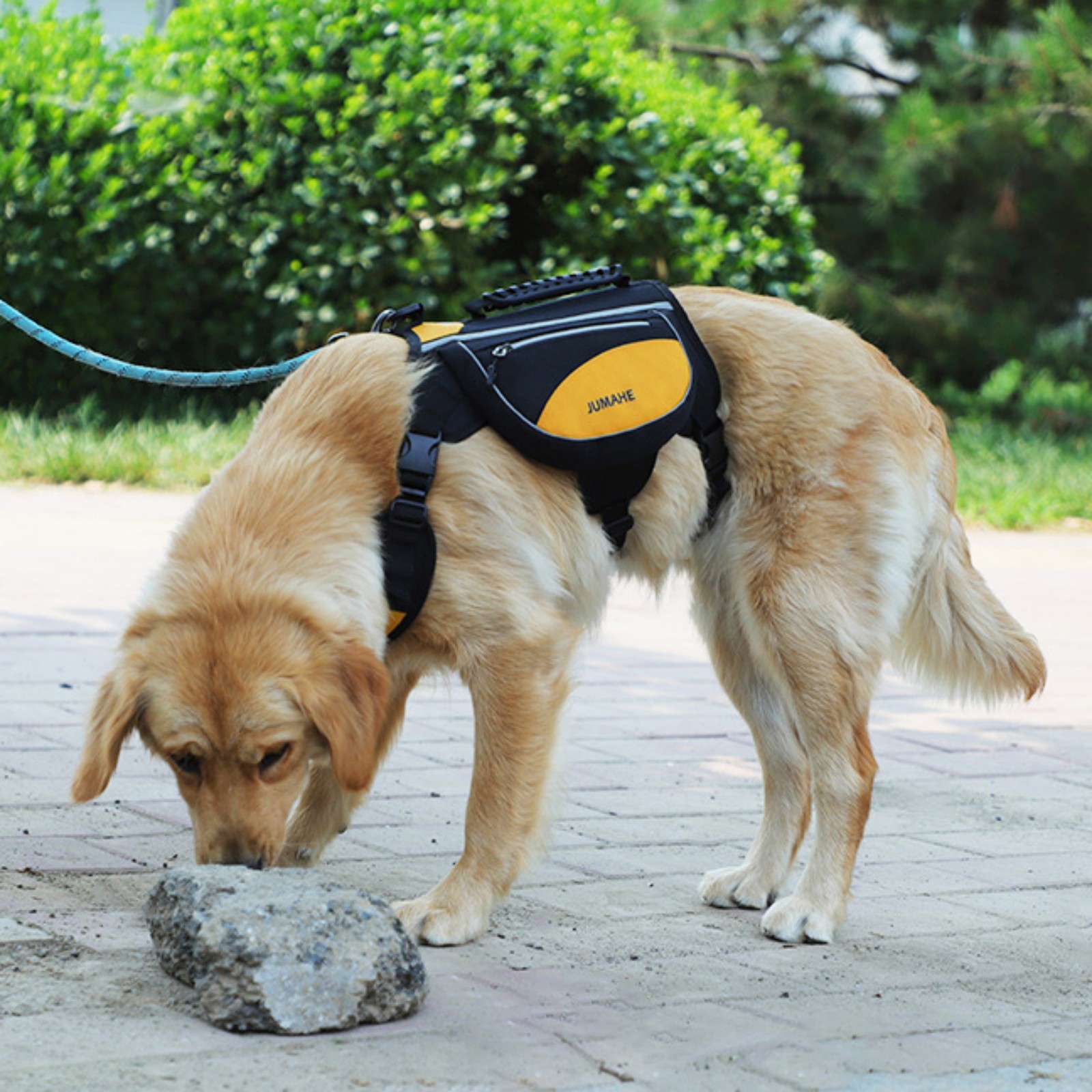 Jaucin Large Dog Backpack Pet Outdoor Self - Carrying Backpack - Anti - Pull, Breathable, Reflective Dog Pack