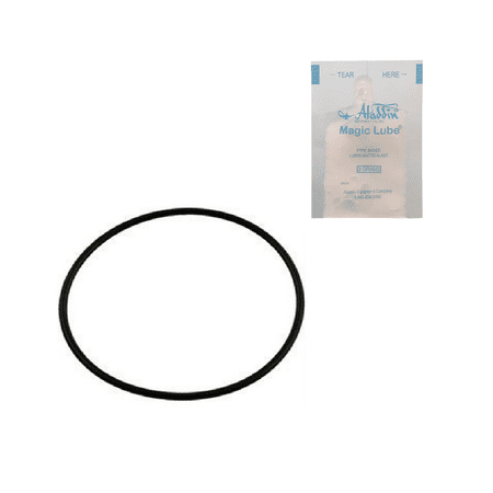 - Puri Tech O-RING - Hayward, Sta-Rite & Others w/ Single Use Lubricant