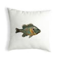 thumbnail image 1 of Betsydrake NC021 Coussin Non-Cordé Citrouille - Grand, 1 of 1