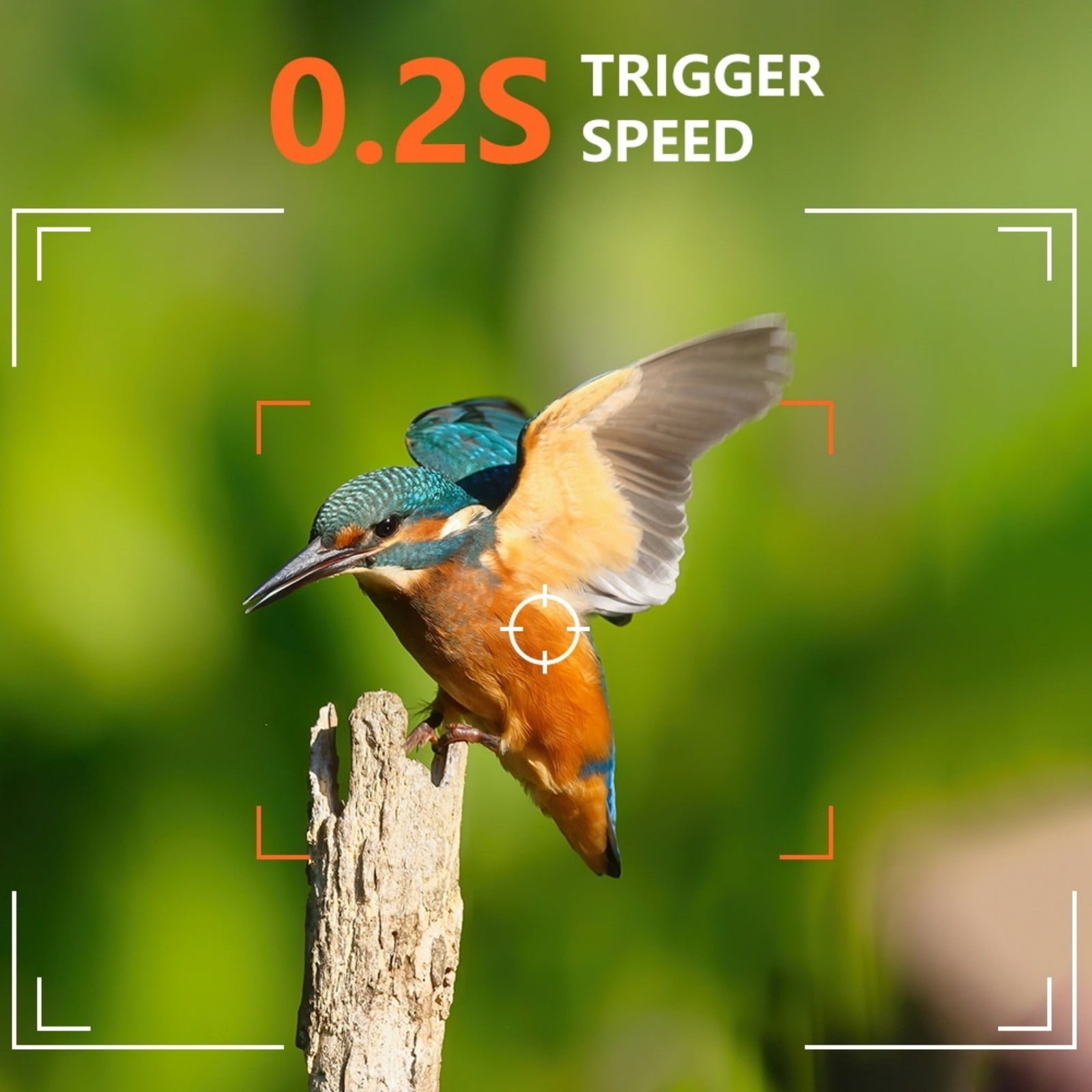 Trail Camera with Infrared Night Vision, Motion Activated Game Camera with Fast Trigger & IP66 Waterproof, High Resolution Wildlife Camera for Outdoor Use