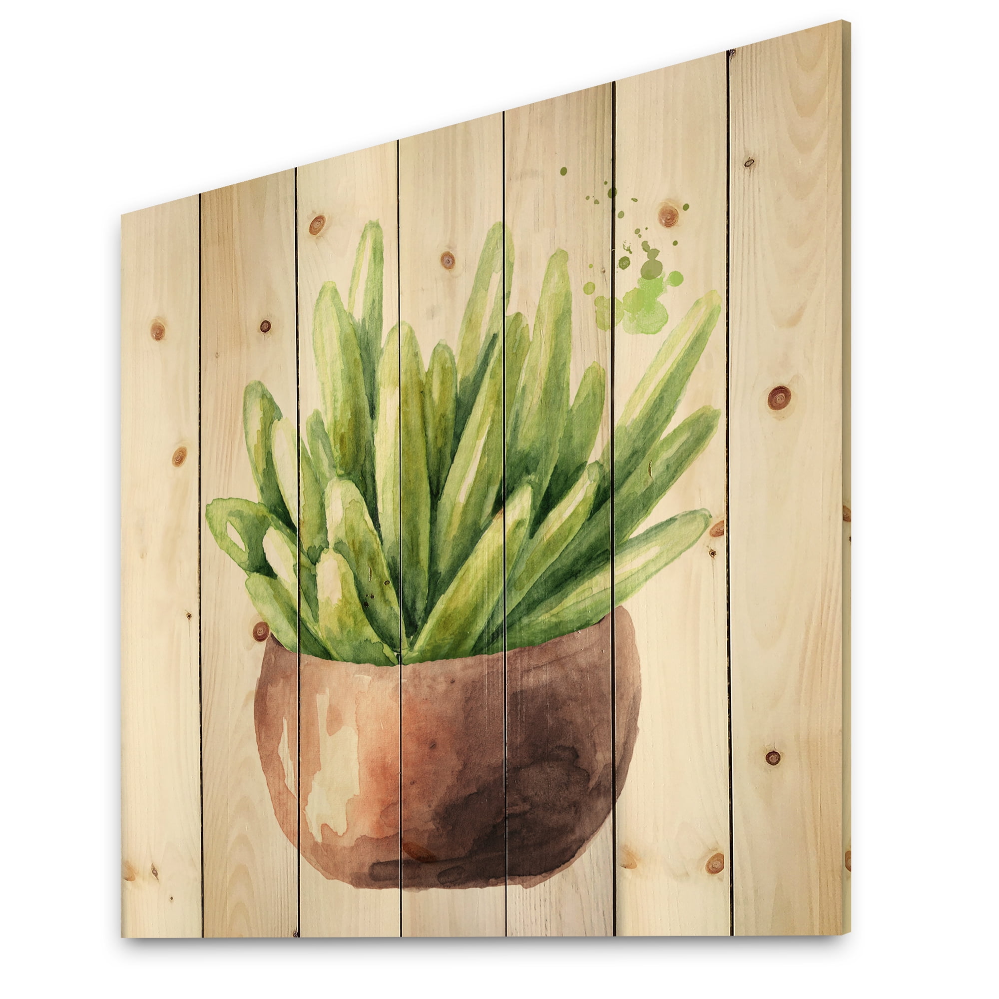 Designart 'Succulent Flower In Terracotta Clypot I' Traditional Print on Natural Pine Wood