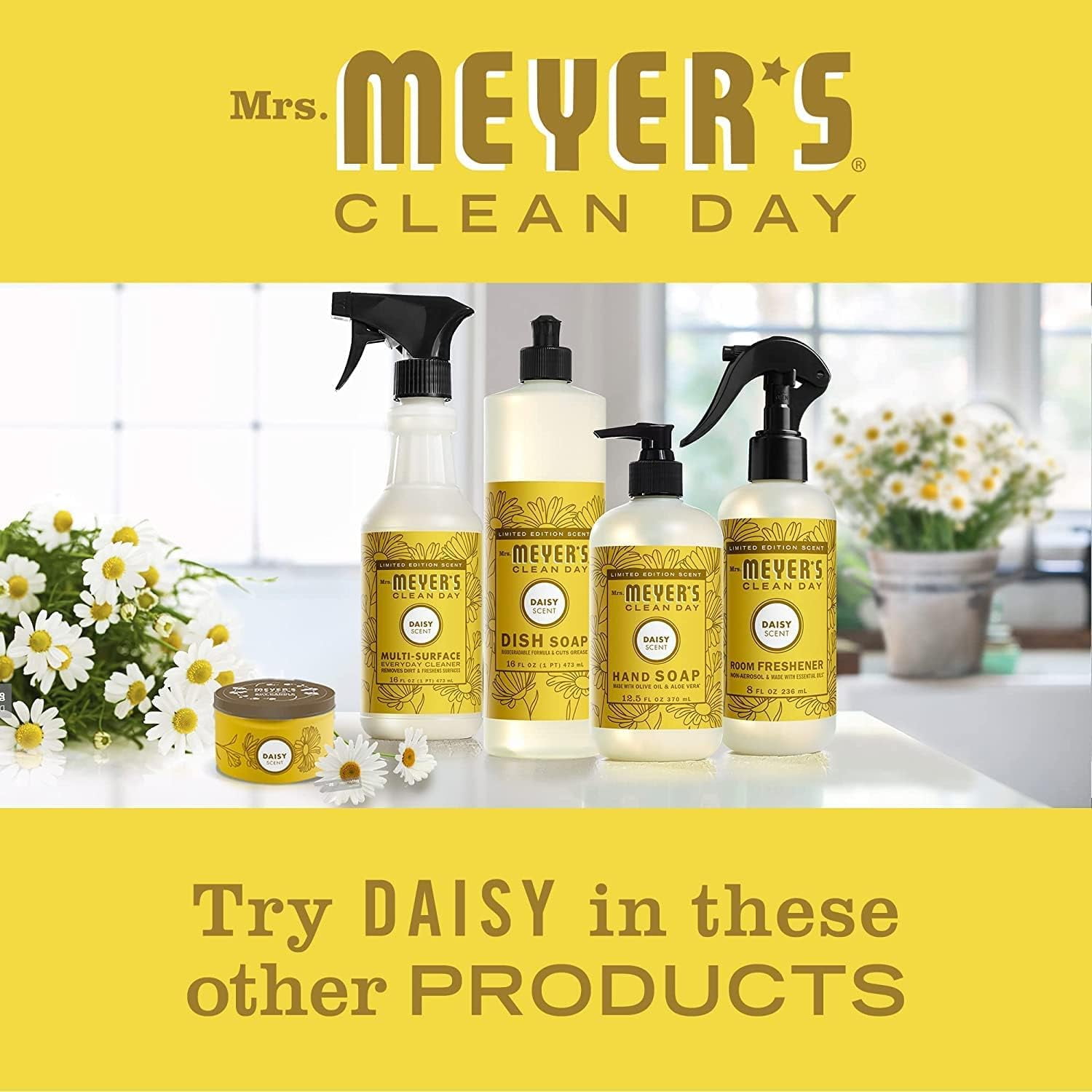 Mrs. Meyer's Clean Day Liquid Dish Soap, Daisy Scent, 16 OZ (Pack of 4)