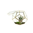 thumbnail image 4 of WGV Medium Gold Prism Dodecahedron Geometric Glass Terrarium - 9" Wide x 7.5" Height, Good quality Terrarium - 1 Pc, 4 of 5
