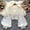 White, variant on Ladies Shirts Summer Top for Women Blouse Elegant Sheer Lace Backline Overlay Top for Autumn Slim Fit Tie Detail Versatile Layering White One Size