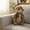 As Show, variant on 16 Inch Water Dog Plush Cartoon Doll with Scarf Hugging Pillow Stuffed Animal for Bed Sleeping and Car Decor Accompanying Friend Birthday Gift