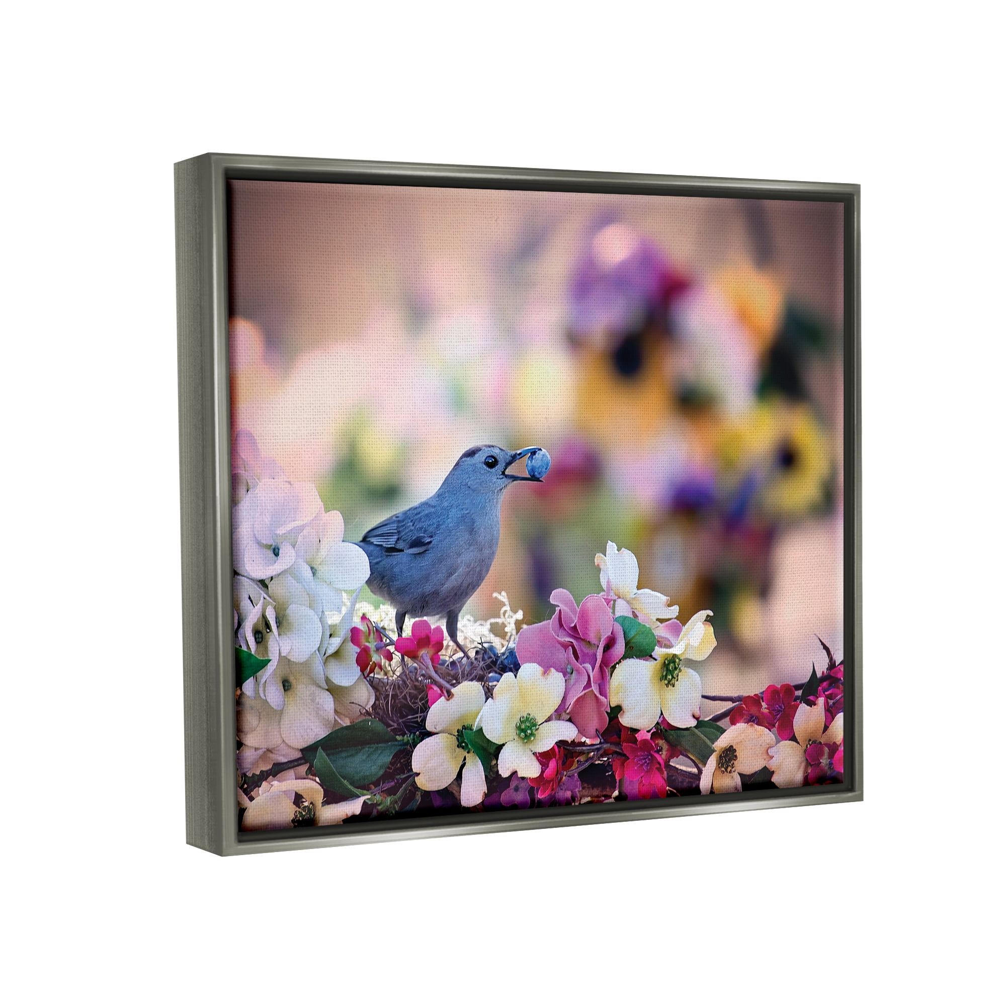 Stupell Industries Bird with Spring Flowers Animals & Insects Photography Gray Floater Framed Art Print Wall Art, 21 x 17