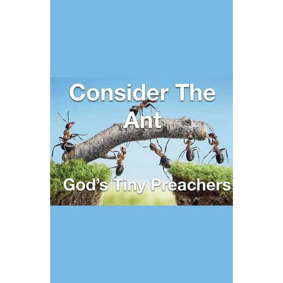 Consider The Ant - God's Tiny Preachers, (Paperback)