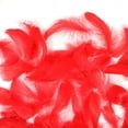 thumbnail image 4 of 600PCS Red Feathers, 3-4.7 inch Feathers Bulk for DIY Crafts Wedding Halloween Costume Party Decorations Dream Catcher Supplies, 4 of 7