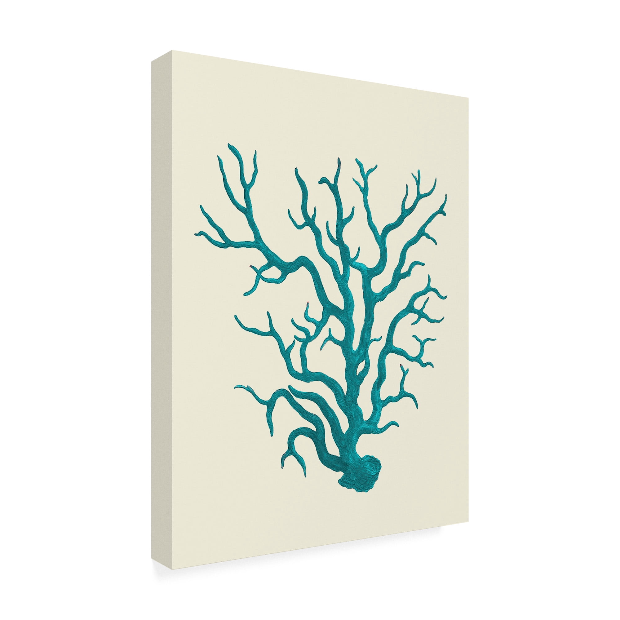 Trademark Fine Art 'Corals Turquoise On Cream a' Canvas Art by Fab Funky