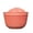 Red, variant on Self Watering Hanging Flower Pot Wall Planter – 8.3 x 4.7 x 5.3in Outdoor Indoor Garden Basket with Hooks()