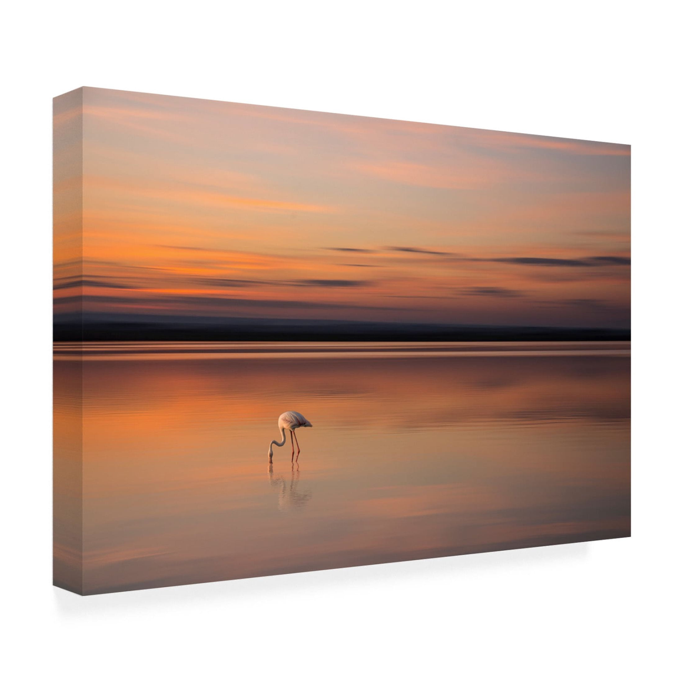 Canvas Wall Art - Dorian Gray 'Untitled' Wall Art for Living Room, Bedroom, or Office Décor by Trademark Fine Art - 19 x 12 Inches