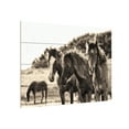 thumbnail image 2 of Aledanda 'Horses Three Sepia' Wood Slat Art 12x16, 2 of 5