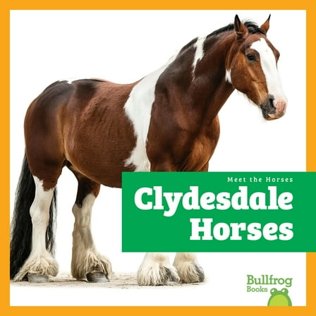 Meet the Horses Clydesdale Horses, (Hardcover)