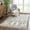Charcoal, Beige / Godalming, variant on Hauteloom Godalming Living Room, Bedroom Area Rug - Bohemian/Global - Plush Pile - Charcoal, Beige - 5'3" x 7'3"
