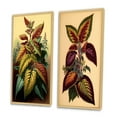 thumbnail image 3 of Designart "Vintage Coleus Plant Botanical Illustration I" Ferns Framed Wall Art Set Of 2 - Modern Green Framed Wall Art Set Of 2, 3 of 6
