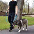 thumbnail image 3 of Pet Gear Dog Leash1.5m Long Padded Two Handle Heavy Duty Double Handles Lead for Control Safety Trai, 3 of 5