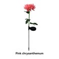 thumbnail image 4 of Lámpara Solar de crisantemo, 2 uds., luz de jardín, flores artificiales, césped, paisaje, jardín, decoración exquisita, creativa Iluminación y accesorios Crisantemo rosa crisantemo rosa Advancent HA073440-03, 4 of 6