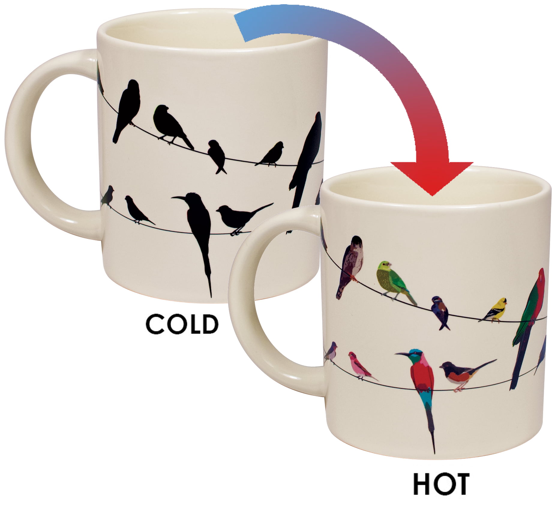 Comes in a Fun Gift Box Add Coffee or Tea and Colorful Birds Appear Birds on a Wire Heat Changing Mug 