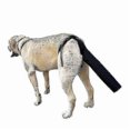 thumbnail image 1 of 2025 Dog Tail Protector, Dog Tail Guard Dog Tail Cover for Wounds Black Dog Harness, 1 of 5