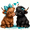 Couple Cow, variant on 5D Diamond Painting for Adults,Cow Diamond Art Kits for Beginners, DIY Highland Cow Full Round Gem Crystal Art Paint by Diamond, Home Wall Decor 12x12 Inch