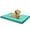 Peacock, variant on Dogbed4less Waterproof 34"x27"x3" Memory Foam Platform Bed for Small to Medium Dog, Brown