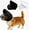 Black, variant on Adjustable Mesh Dog Head Protector, Breathable, for Small Medium Dogs Outdoor