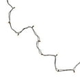 thumbnail image 6 of Northlight Mini Incandescent Christmas Lights - Clear - 4' Brown Wire - 20ct, 6 of 7