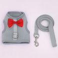 thumbnail image 4 of CSChome Pet Harness Leash Stylish Decoration Small Pets Pet Harness Leash - Rabbit Traction Harness for Outdoor Walking, 4 of 7