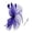 Blue, variant on LIUYUNNN Customized Sweatband Elegant Hair Band For Delicate Headpiece With Colorful For Performances And Parties, One Size