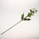 thumbnail image 5 of Bouquet de Flores Artesanía Bricolaje Peonía Regalos de Ocasión Cumpleaños de Decor Blanco, 5 of 9