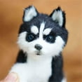 thumbnail image 2 of Simulation Husky Dog Plush Toy, Lifelike Plush & Dog Toy With Skeleton Locking For ren's Gifts, Educational Stuffed Animal Decor For Bookshelves, Desks & Car (No, 2 of 7