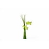 18" Orchid In Tall Glass - Green