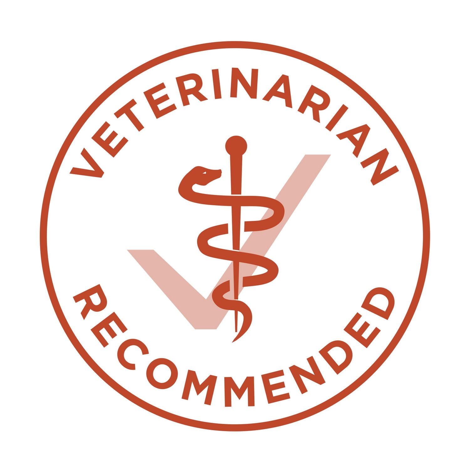 Purina ONE +Plus High Protein Chicken Formula, Dry Cat Food 1.8 kg, 1.8 kg