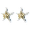 thumbnail image 1 of 2 piezas de concha de estrella de mar de estrella de mar natural para hacer decoración artesanal Diy Afortunado Sencillez, 1 of 5