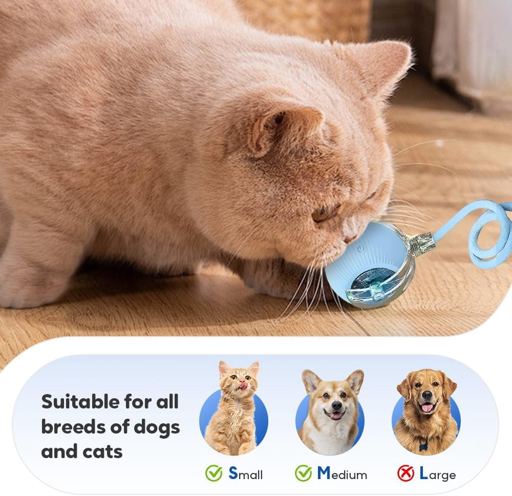 Smart Interactive Cat Toy Ball with Auto Obstacle Avoidance, 2 Mode Rolling Rechargeable Toy to Relieve Boredom, Quiet Durable Toy for Indoor Cats