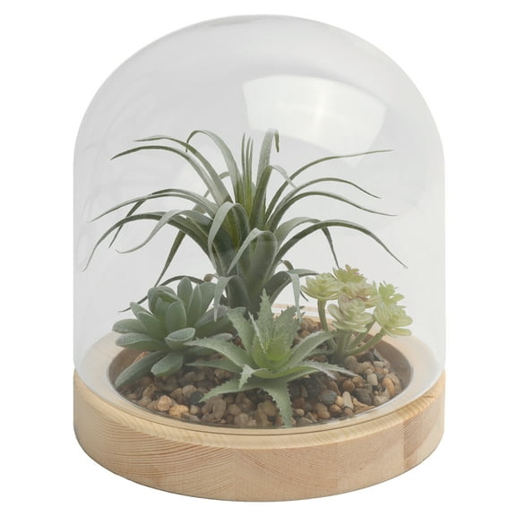 Home Decor Collection Glass Enclosed Faux Succulent 9.84" Terrarium Indoor Table Top Décor