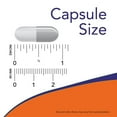 thumbnail image 6 of NOW Foods Gastro Comfort™ with PepZin GI™, 60 Veg Capsules, 6 of 7