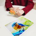 thumbnail image 3 of AURARMLET 1Set Transfer Craft Puzzle White For Children And Adults Family Fun, 3 of 8