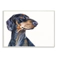 thumbnail image 1 of Stupell Industries Dachshund Dog Pet Animal Watercolor Painting Wall Plaque Art by George Dyachenko, 1 of 3
