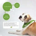 thumbnail image 4 of Earth Rated, Dog Wipes, Unscented, 100 Wipes, 4 of 6