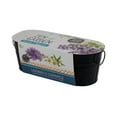 thumbnail image 4 of Buzzy Seeds Zen Herb Garden Lavender & Chamomile Indoor Starter Kit for Small Spaces, 4 of 5