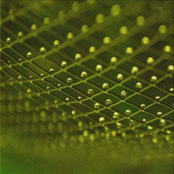 Ahgly Company Indoor Square Patterned Dark Forest Green Area Rugs, 7' Square