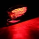 thumbnail image 5 of Motocicleta Placa de Matrícula Soporte de Montaje Soporte LED Luces Traseras de Freno Lámpara rojo Macarena Luz de matrícula LED, 5 of 8