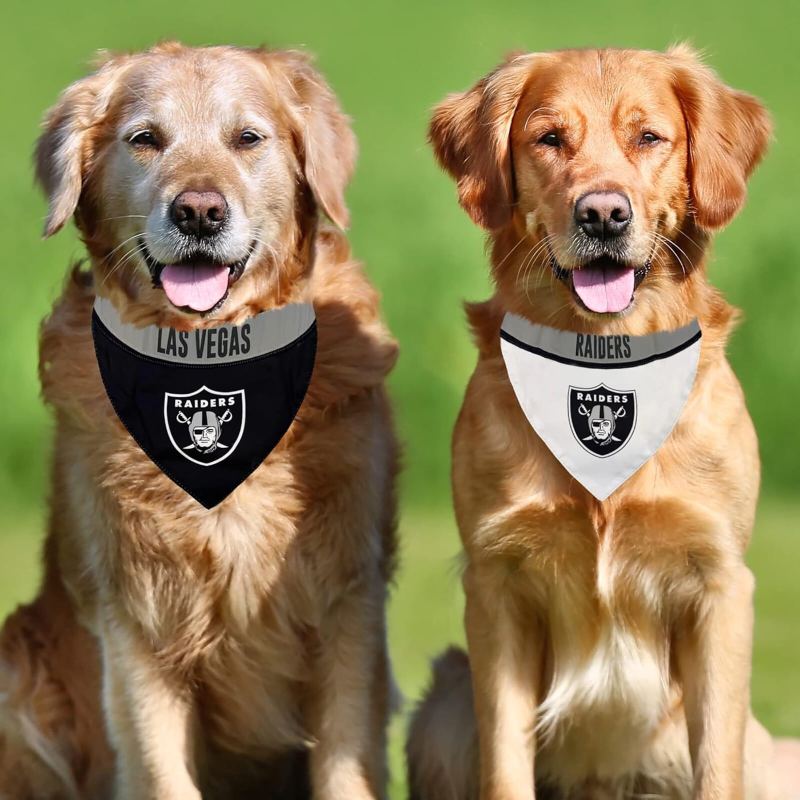 Pets First #1 NFL Party Bandana, Reflective Dog Bandana & Cat Bandana