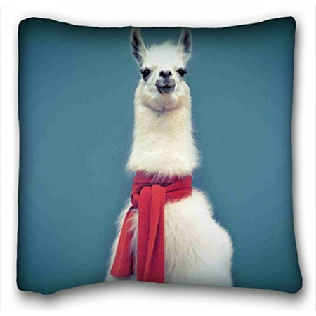 WinHome Pillowcase Design Cloth Simulation Hipster Llama Pillow Protector, Best Pillow Cover Size 18x18 Inches Two Side