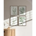 thumbnail image 6 of Haus and Hues Botanical Plant Wall Art Prints - Set of 4 Plant Wall Decor Prints Floral Kitchen Flower Leaves Wall Art Boho Leaf Eucalyptus Wall Decor Green Botanical Poster Set (11x14, Walnut Framed), 6 of 6