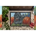 thumbnail image 3 of Carolines Treasures PPP3253MAT Cairn Terrier Moms Pumpkins Door Mat Indoor Rug or Outdoor Welcome Mat 18x27 Doormat  18H, 3 of 3